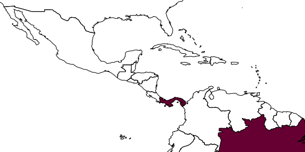 map of Bakeriella brasiliana     Evans, 1964